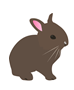 lapin.png