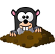 taupe.png