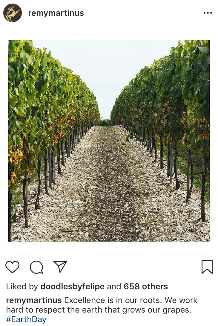 Excellence+is+in+our+roots+cropped.png