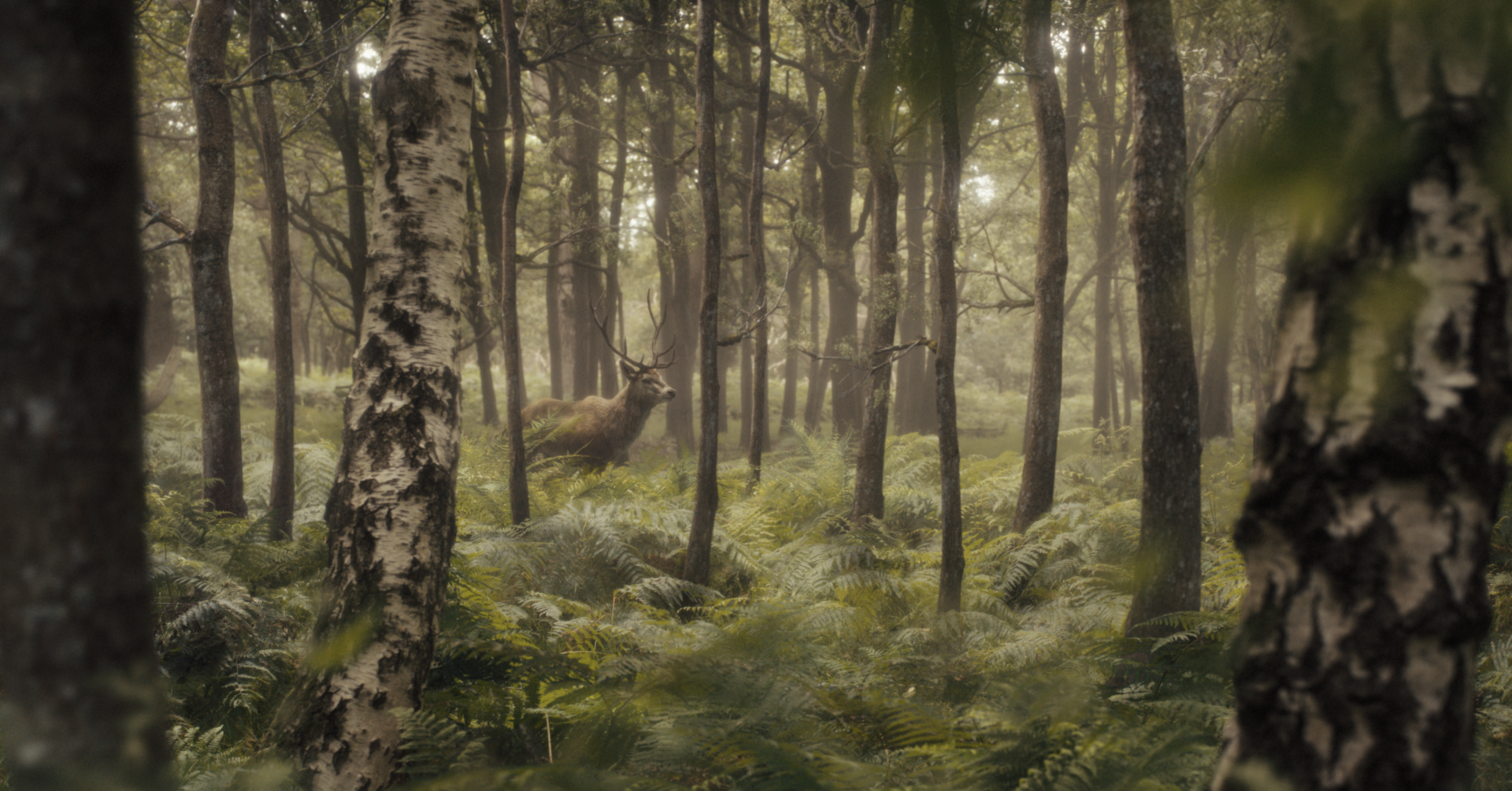 Screenshot-2022-03-30-at-11.43.27-1920x1004.png