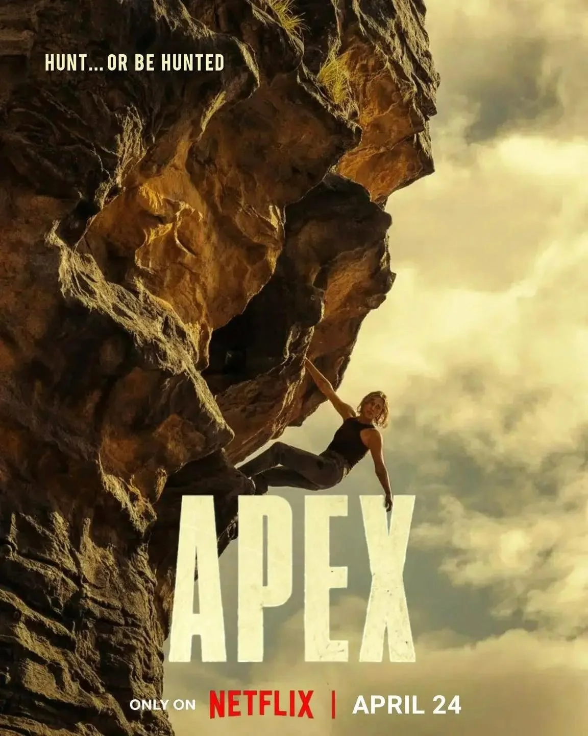 Apex.jpg