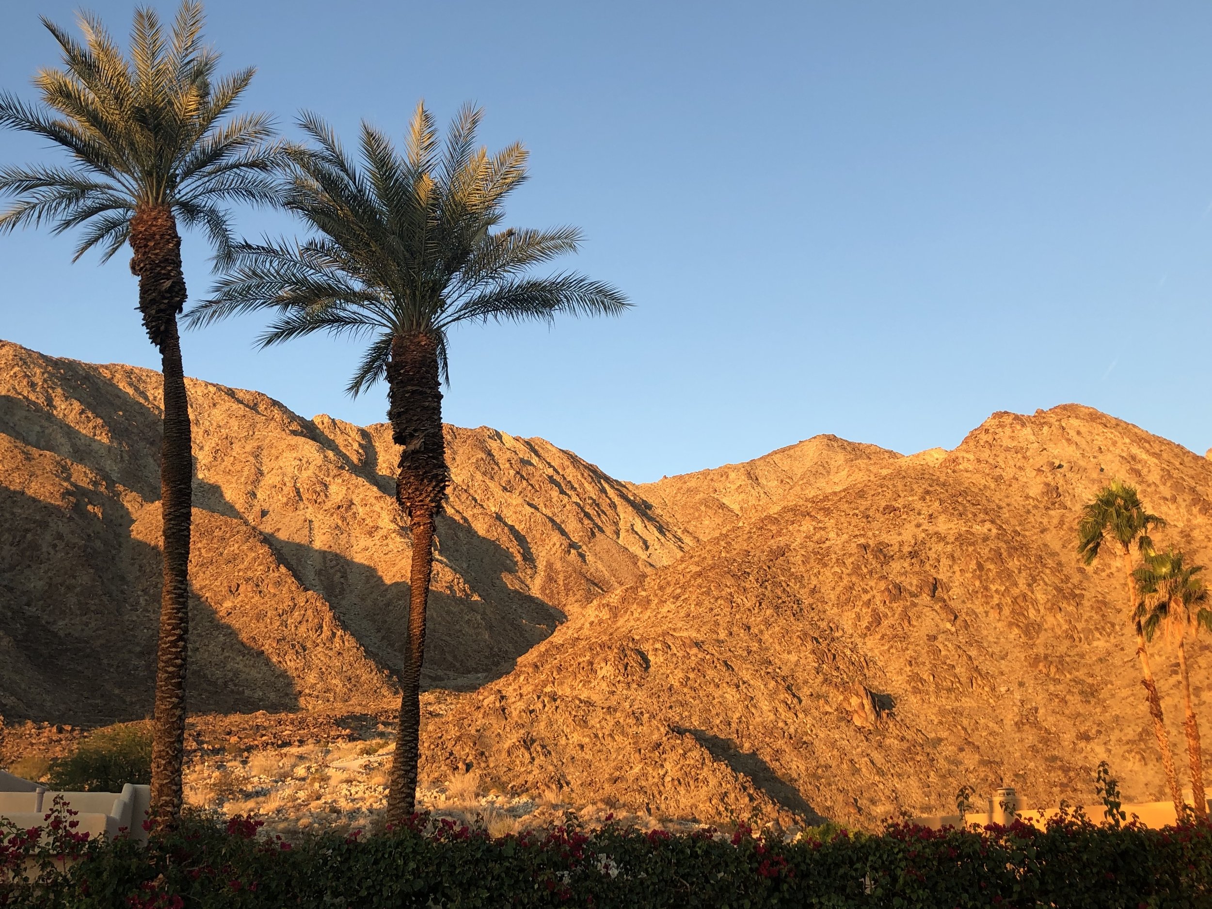 view from .jpg