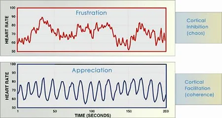 As you shift from feelings like frustration, anger and overwhelm to appreciation, compassion and love, your heart sends a very different signal to your brain. So calm, ease and compassion regardless of circumstances yielding very different outcomes in your life. The HeartMath® tools allow you to do so on demand and create responses and results in sync with your core values, goals and desired outcomes. 