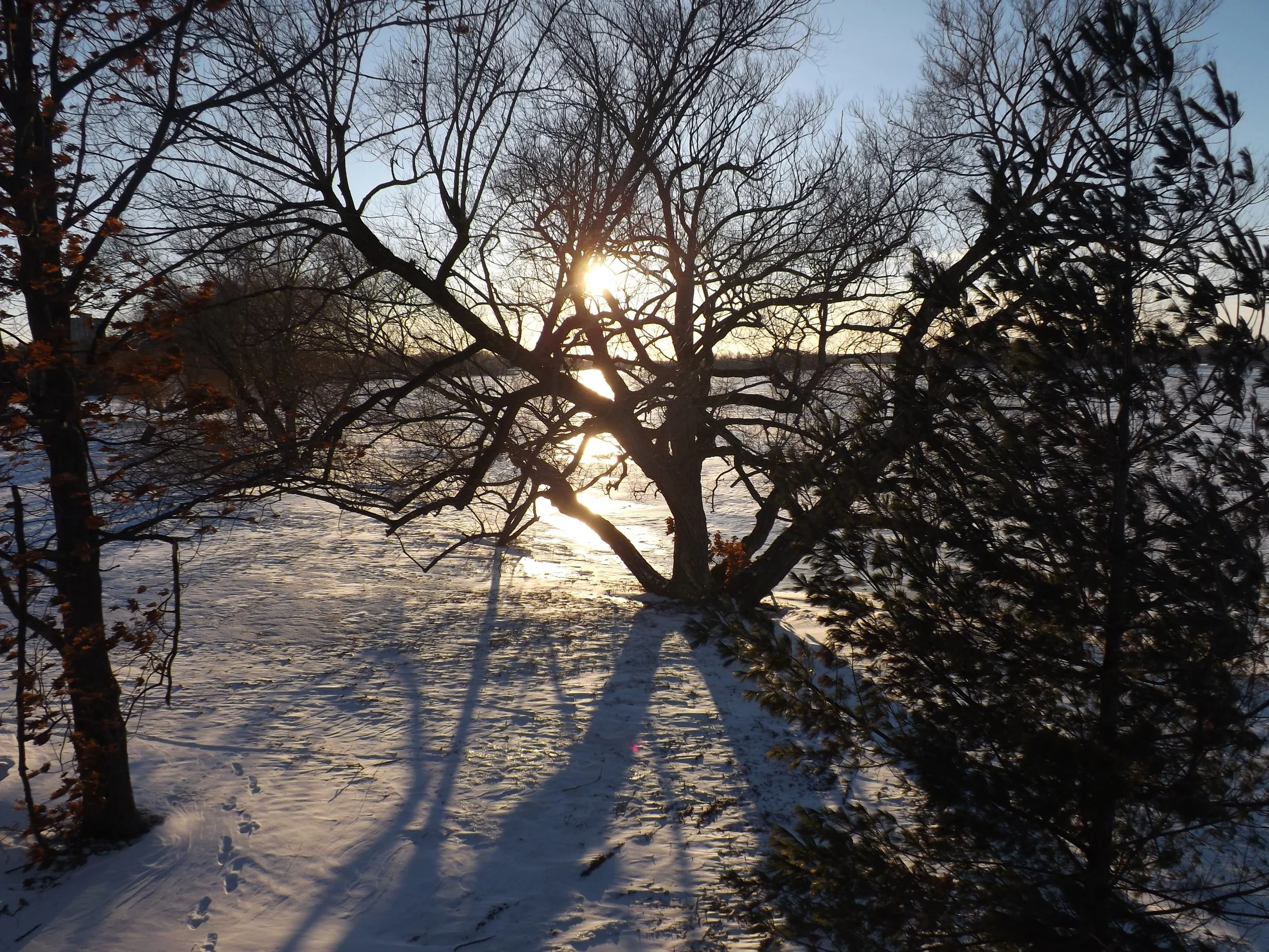 Balade le long de la rivière des outaouais (Ottawa River)