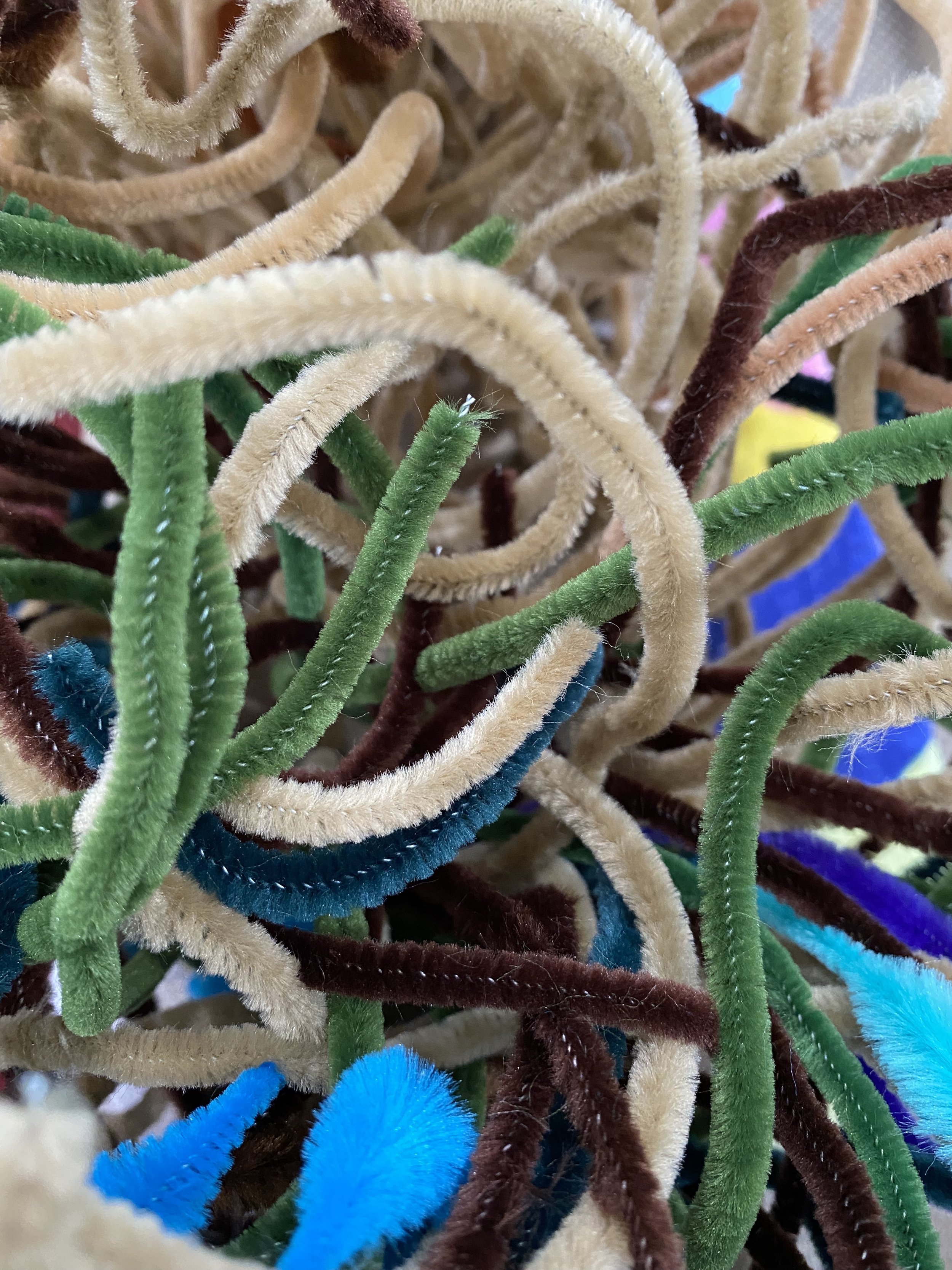 close up of pipe cleaners.jpg