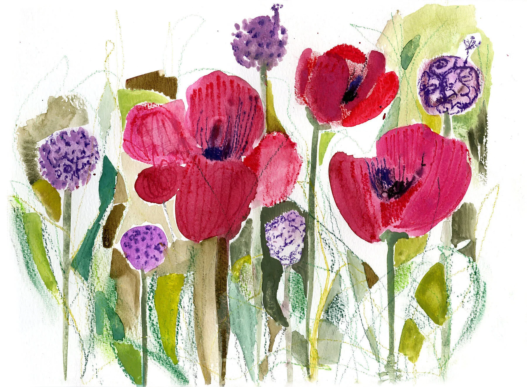 Poppies and Alliums