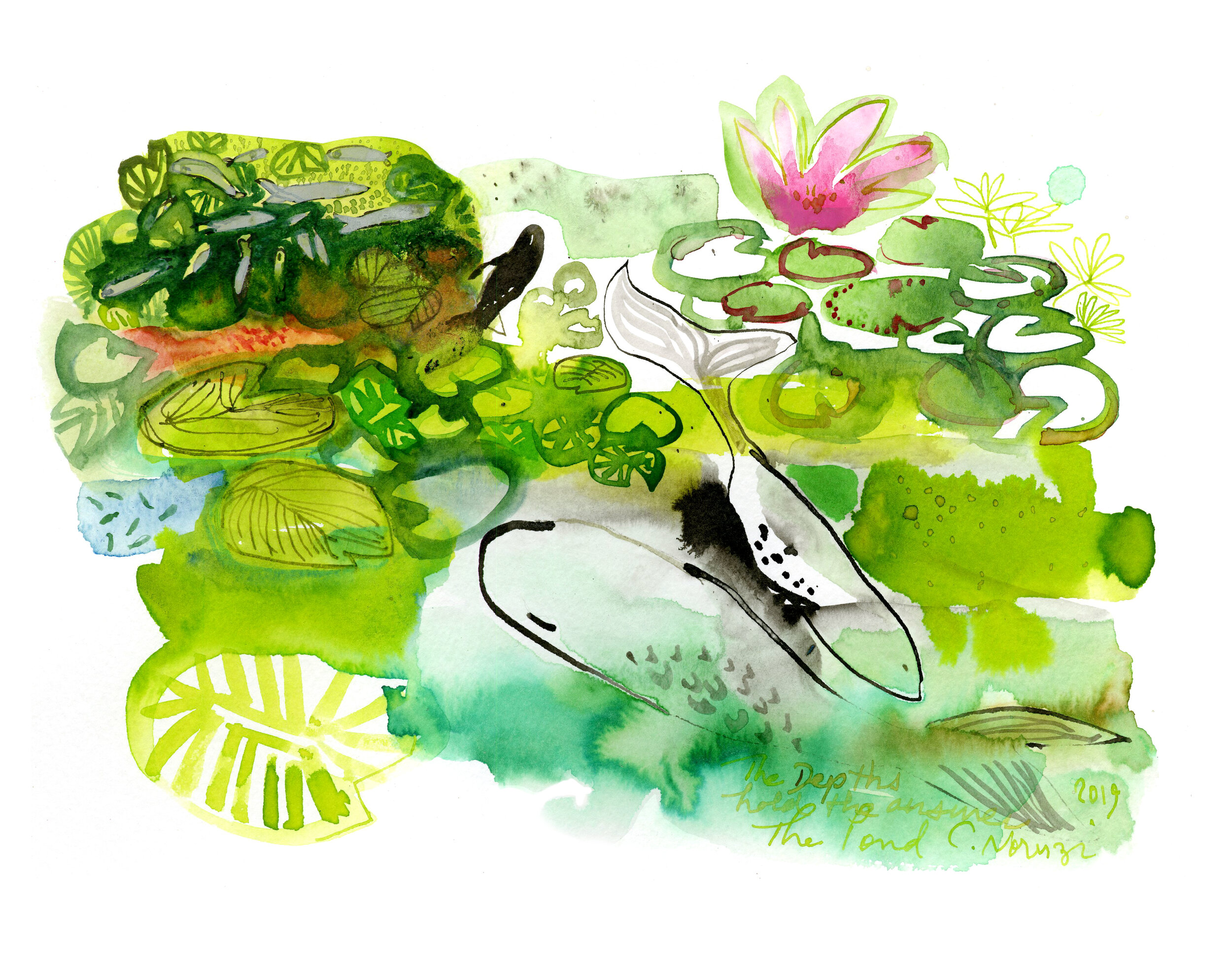 Lily Pond_11x14.jpg