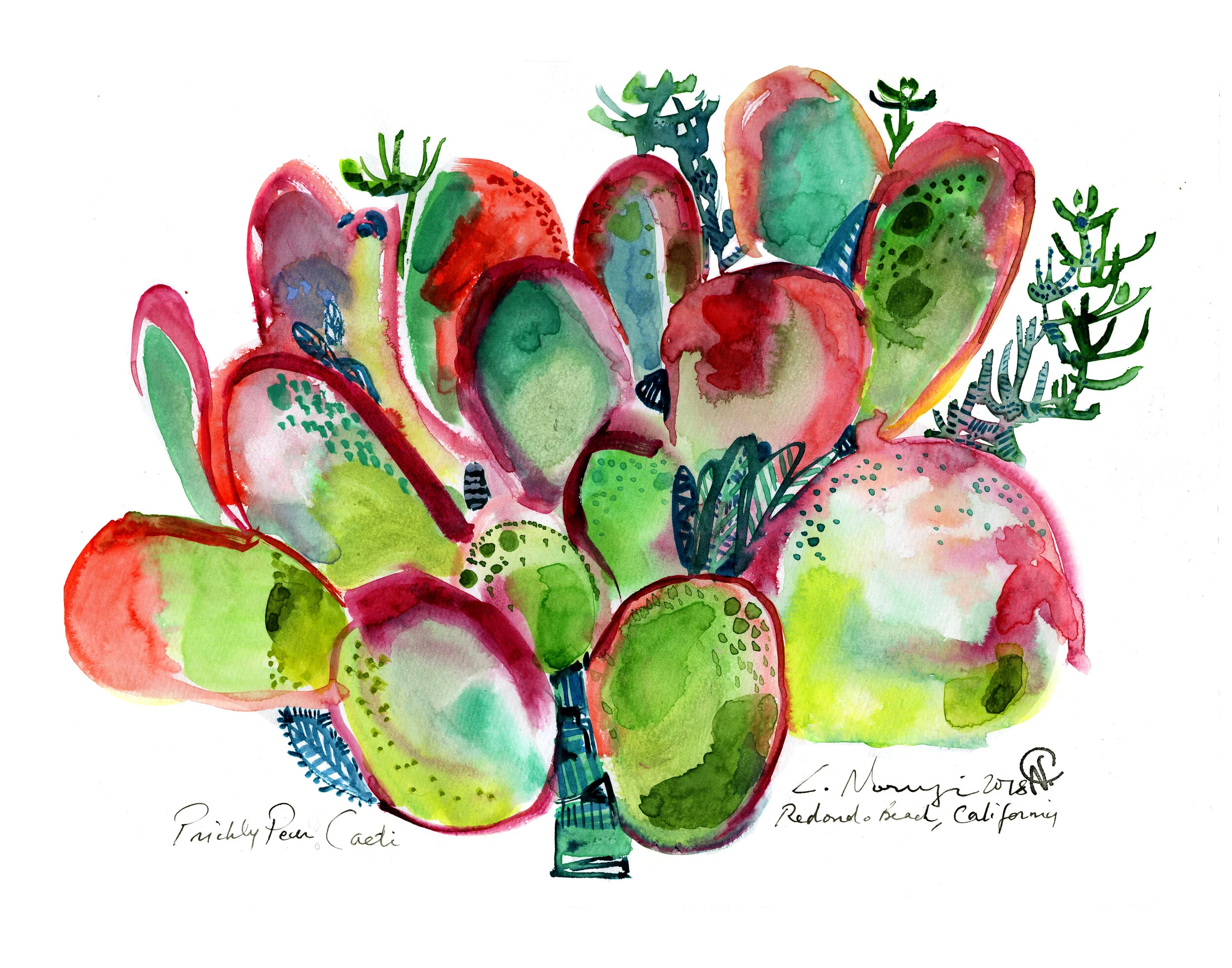 Prickly Pear Cactus (California)