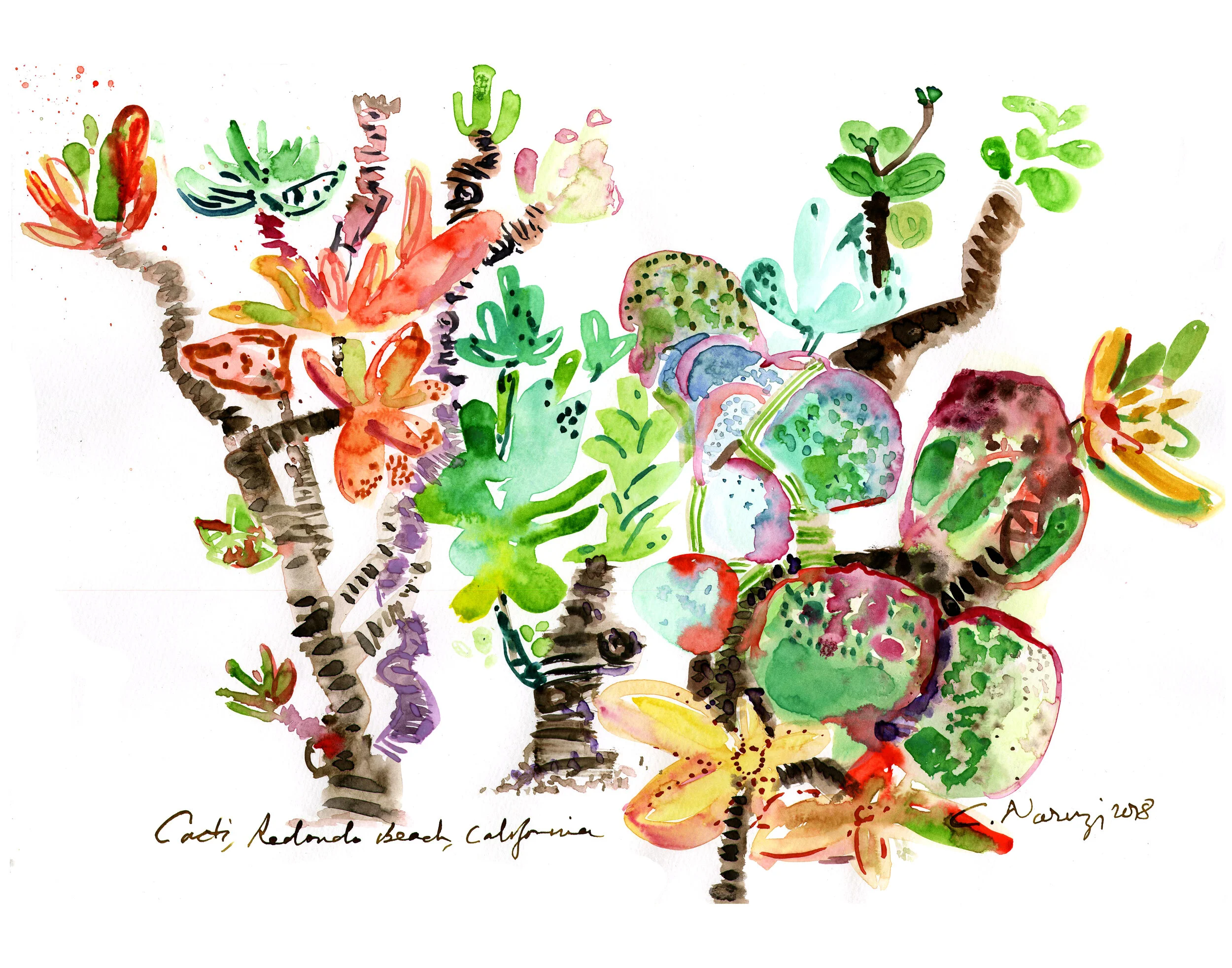 Prickly Pear Cacti II