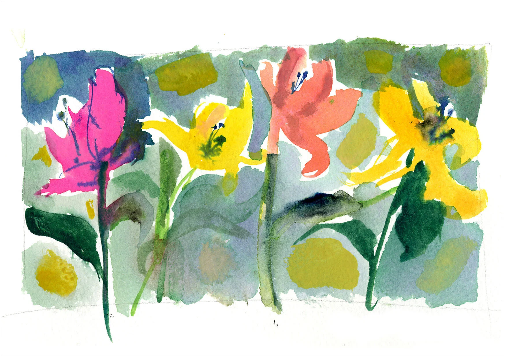 Tulips