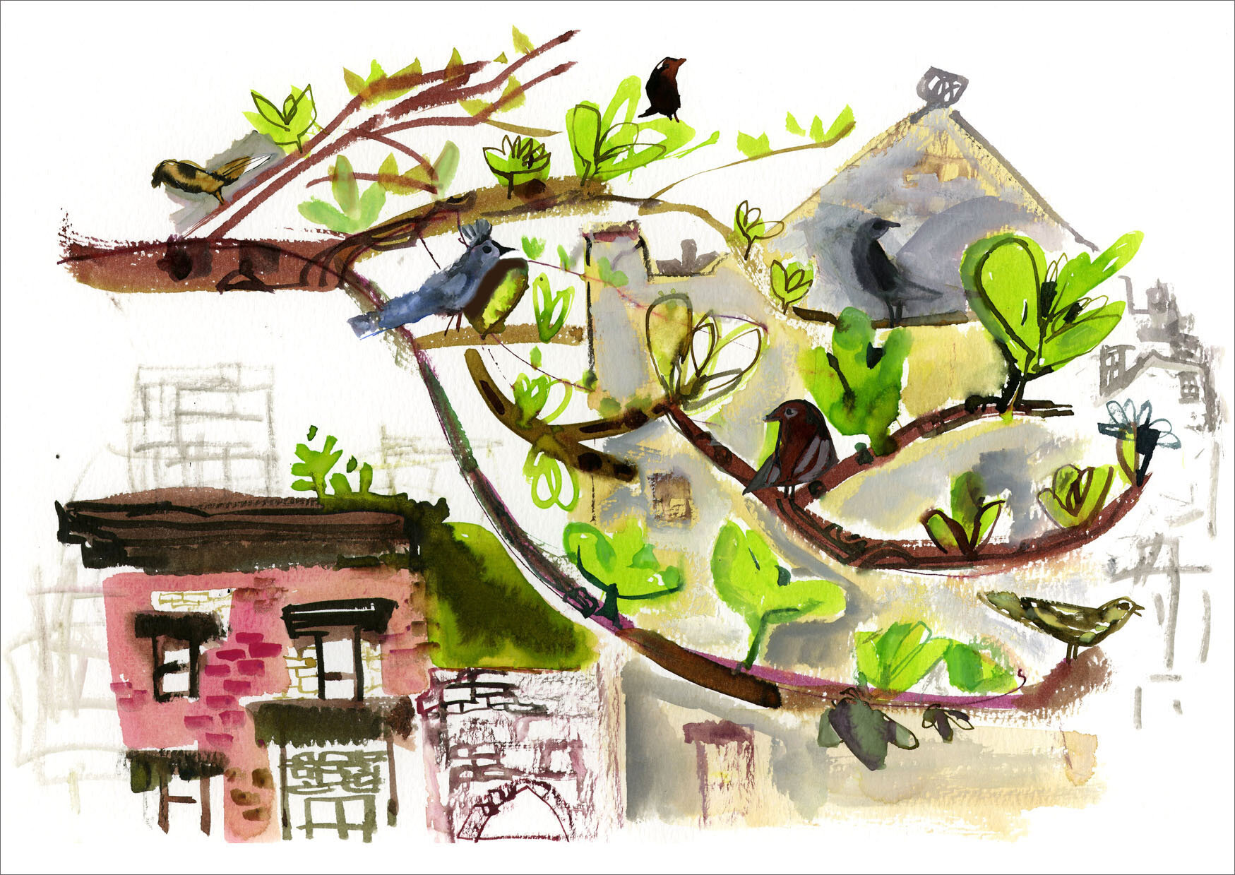 A Tree Blooms in Brooklyn