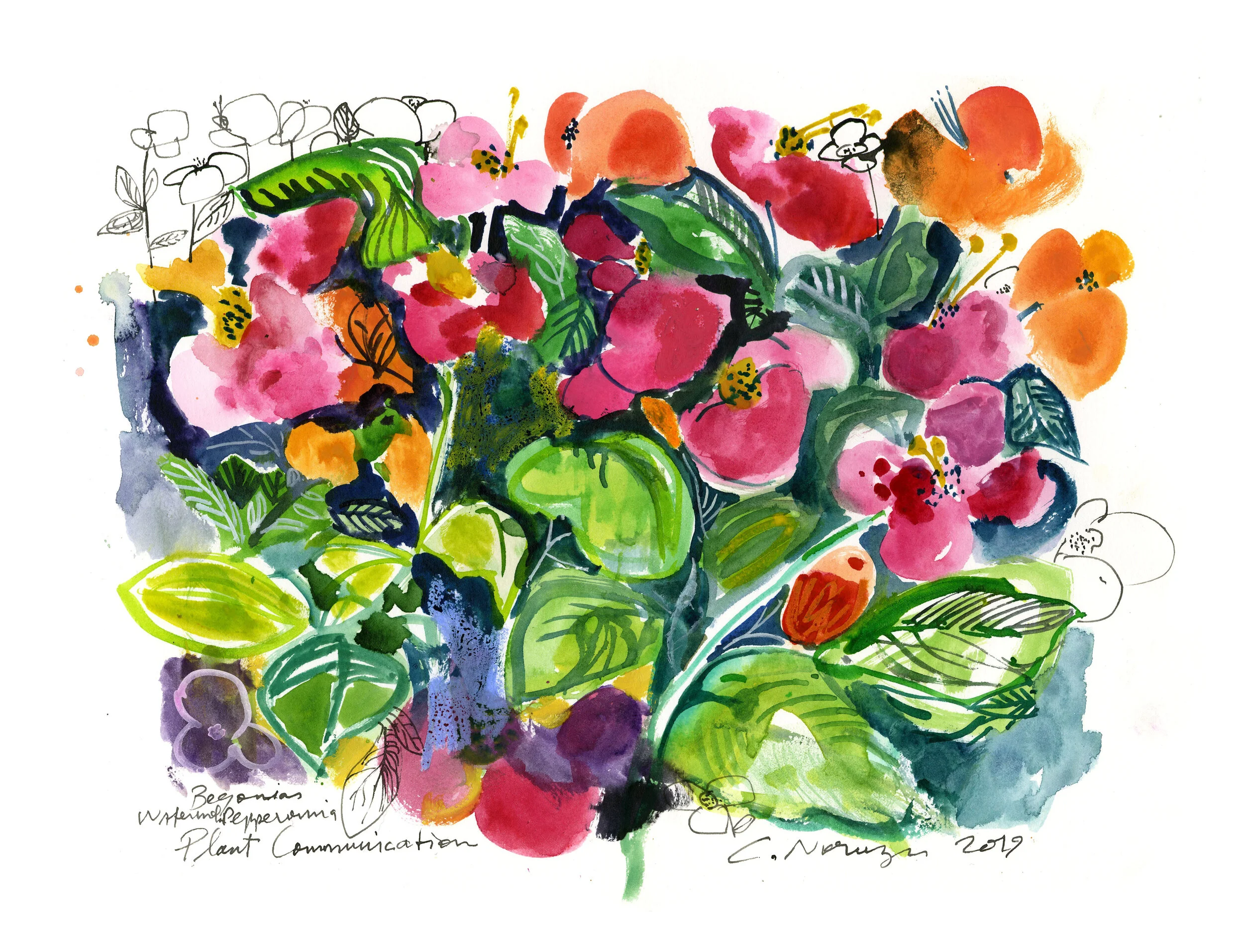 Begonias &amp; Friends