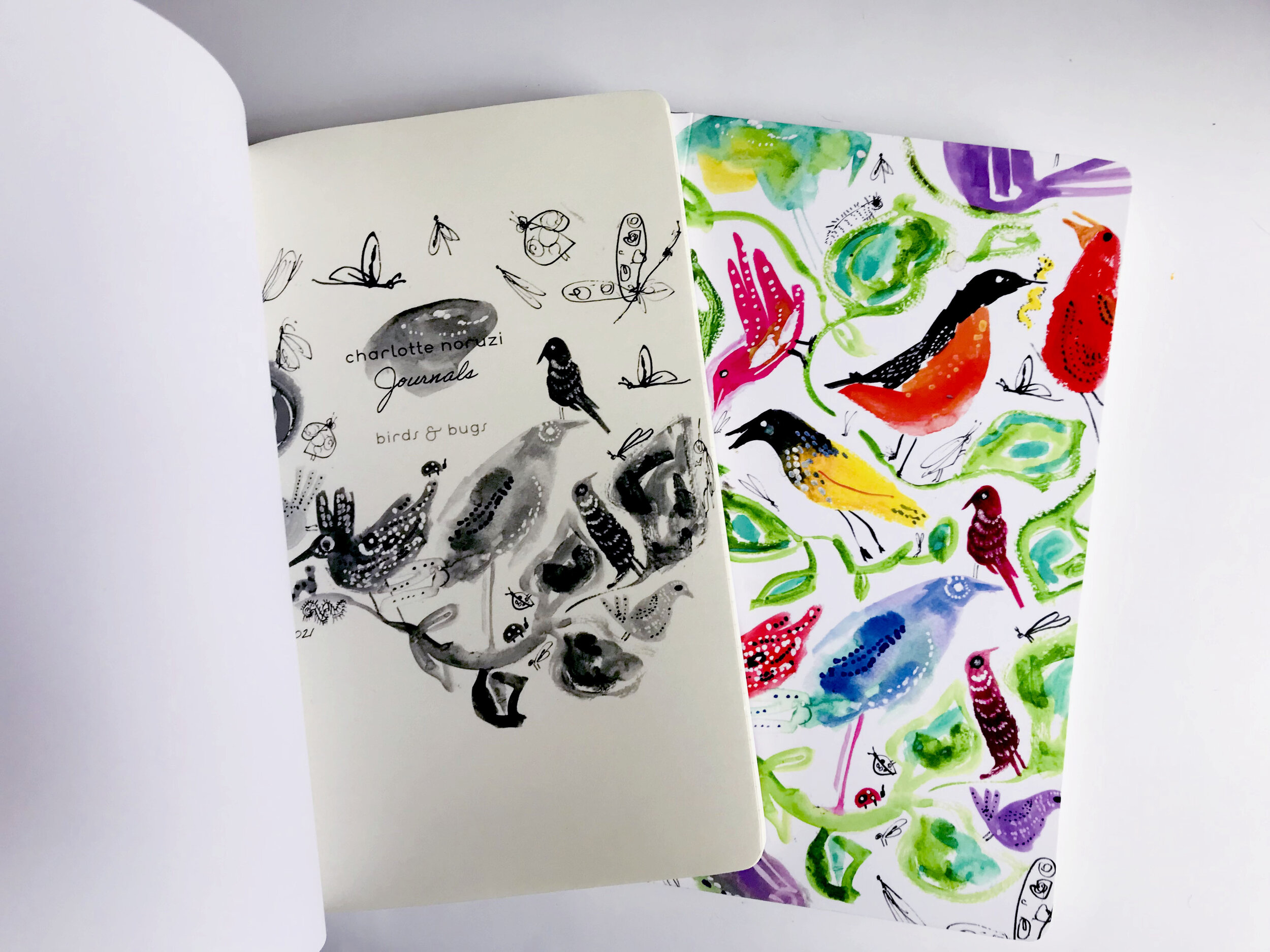 Birds &amp; Bugs Journal