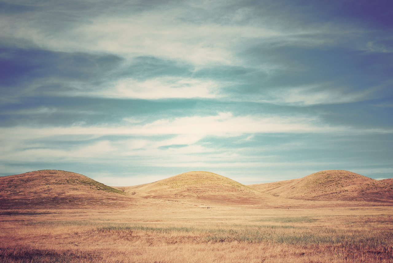  Suisun Marsh, California 