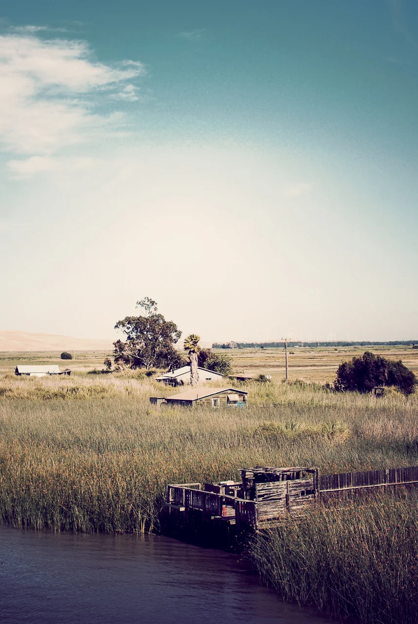  Suisun Marsh, California 