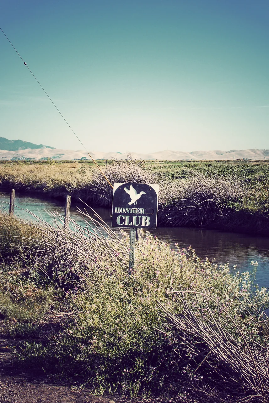  Suisun Marsh, California 
