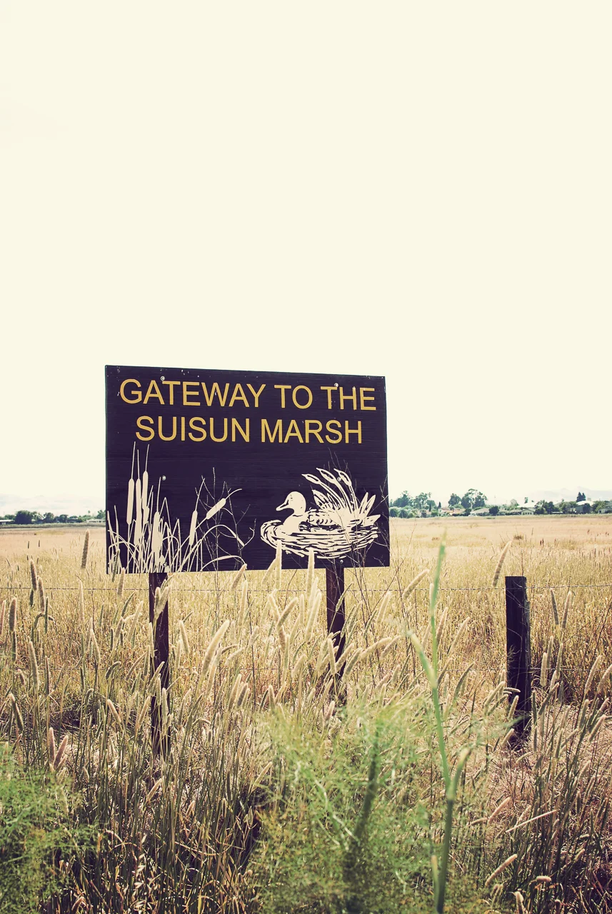  Suisun Marsh, California 