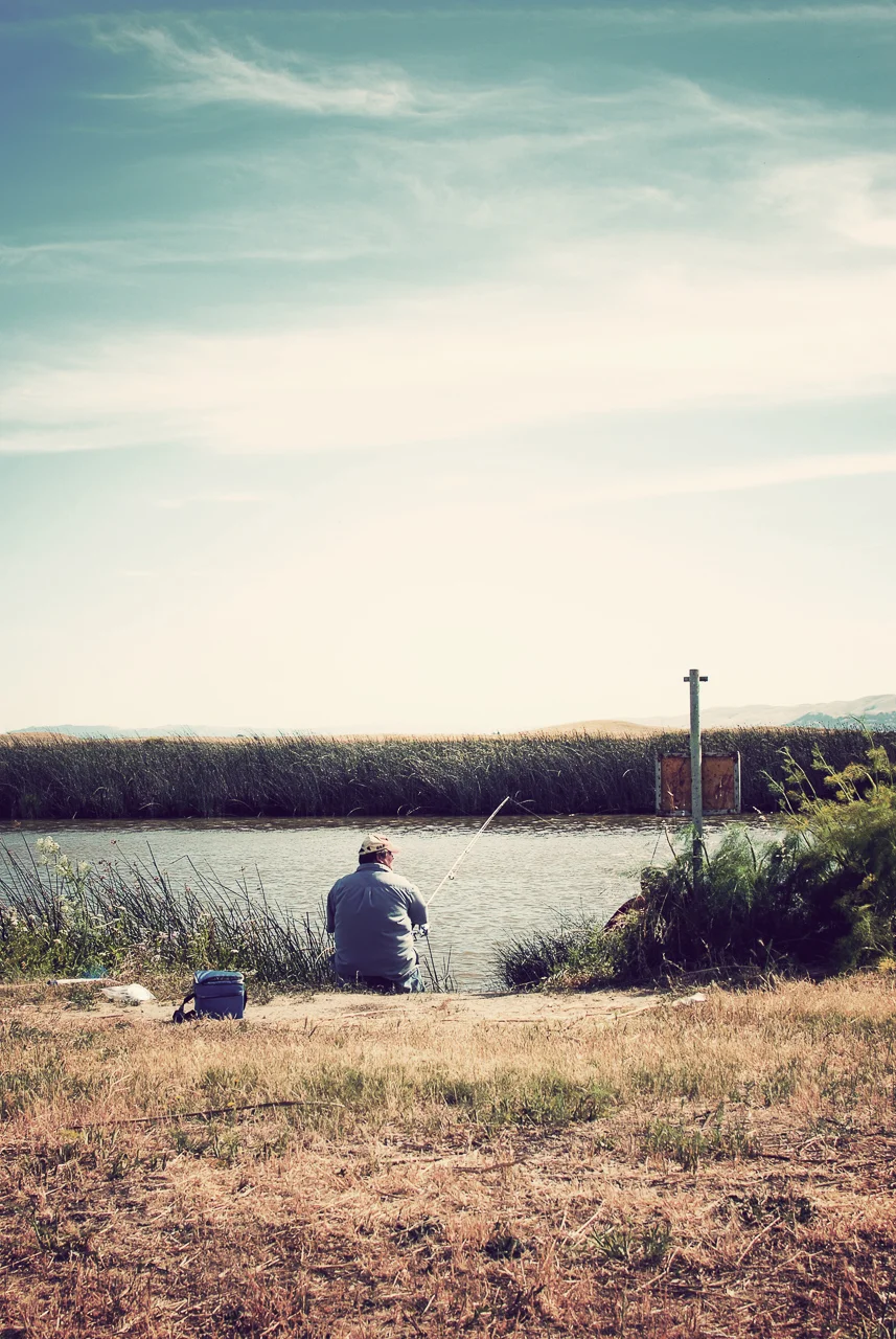  Suisun Marsh, California 