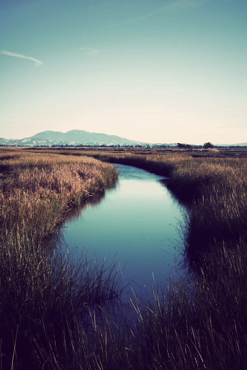  Suisun Marsh, California 