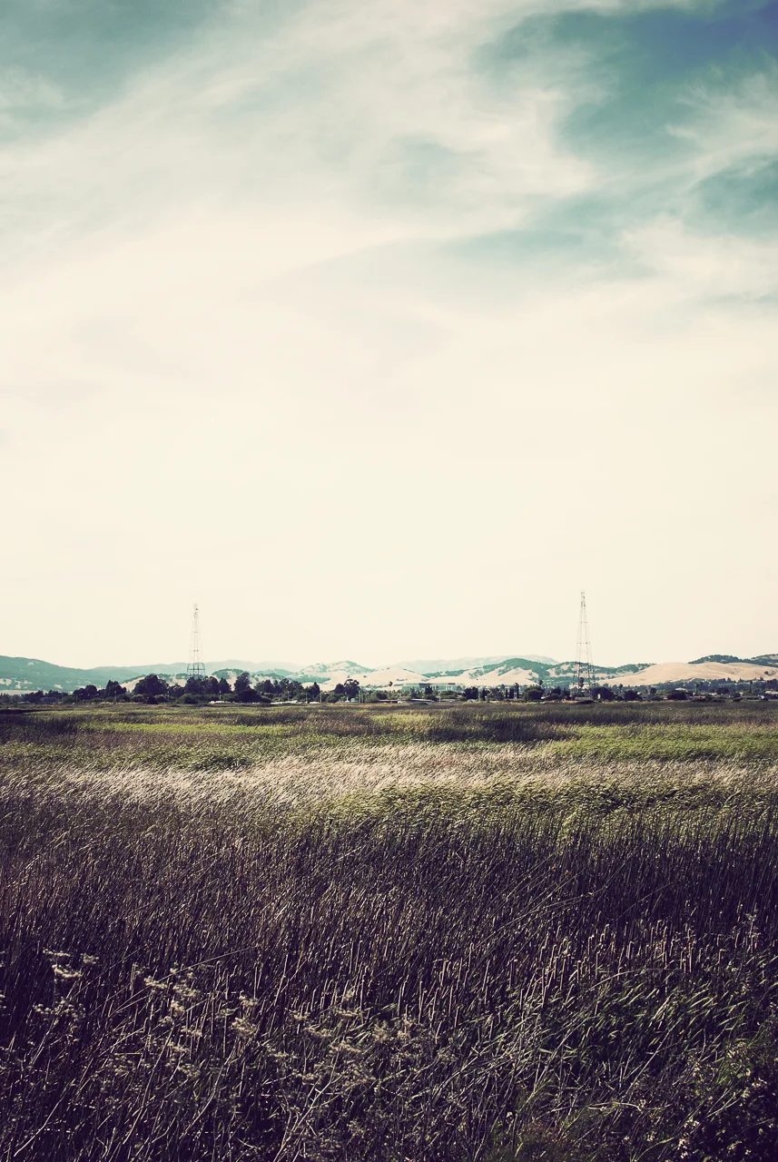  Suisun Marsh, California 