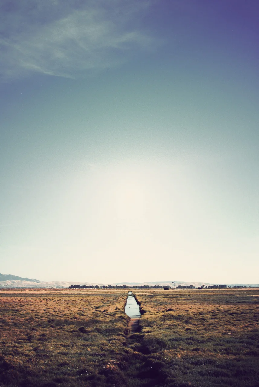  Suiun Marsh California, California 