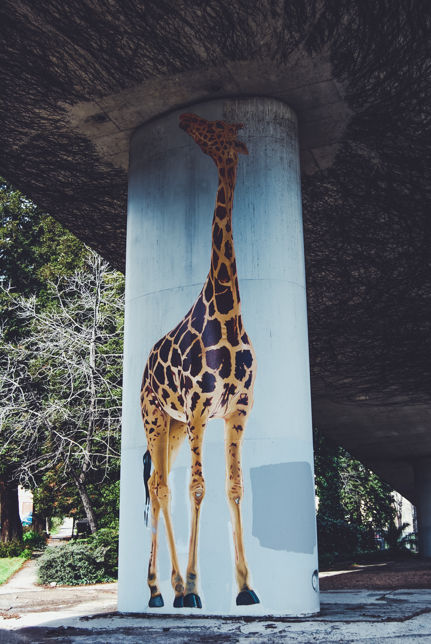  Oakland, California 