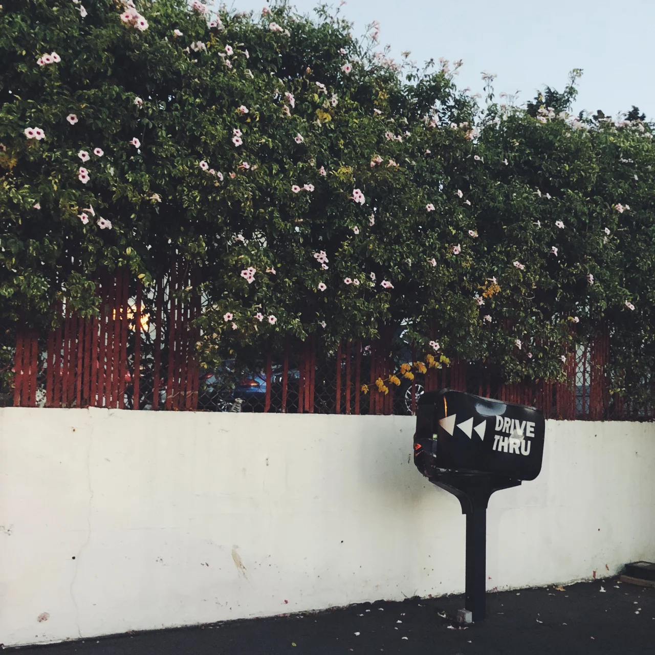  Oakland, California 