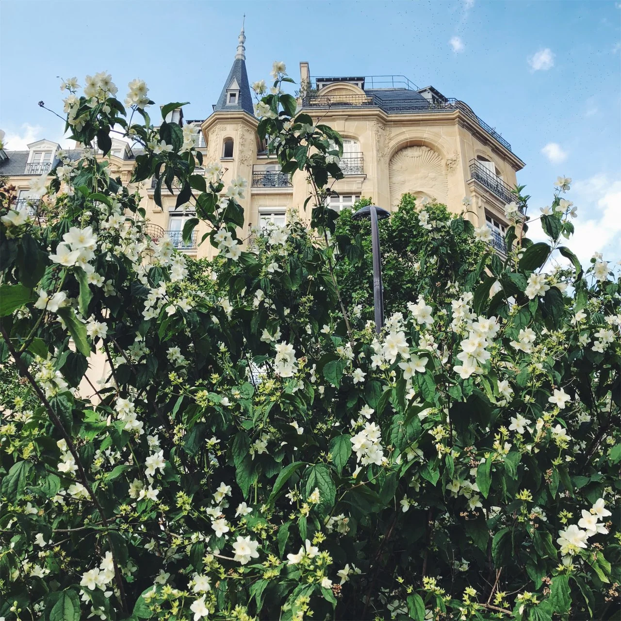  Paris, France 