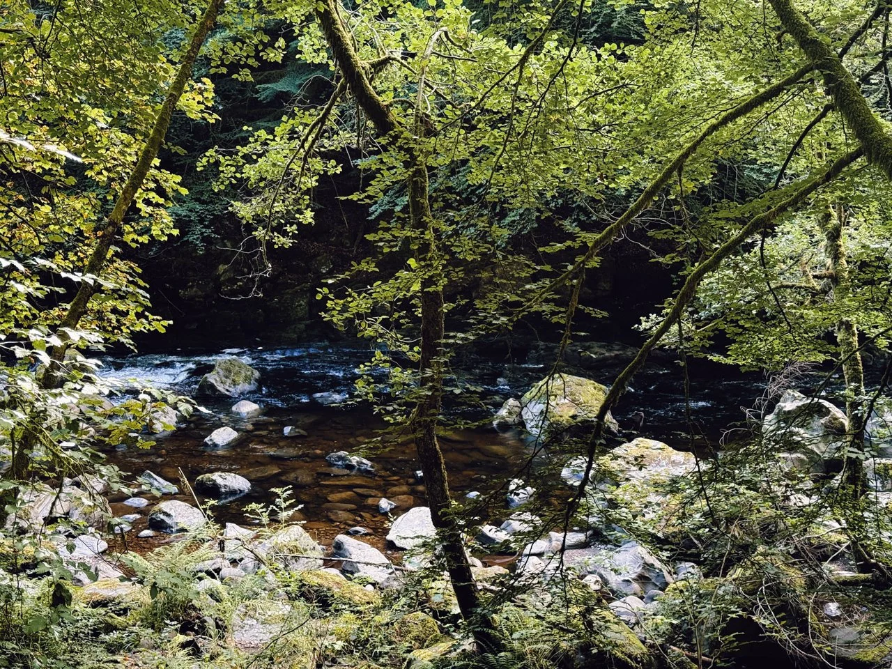 River Braan, Scotland 