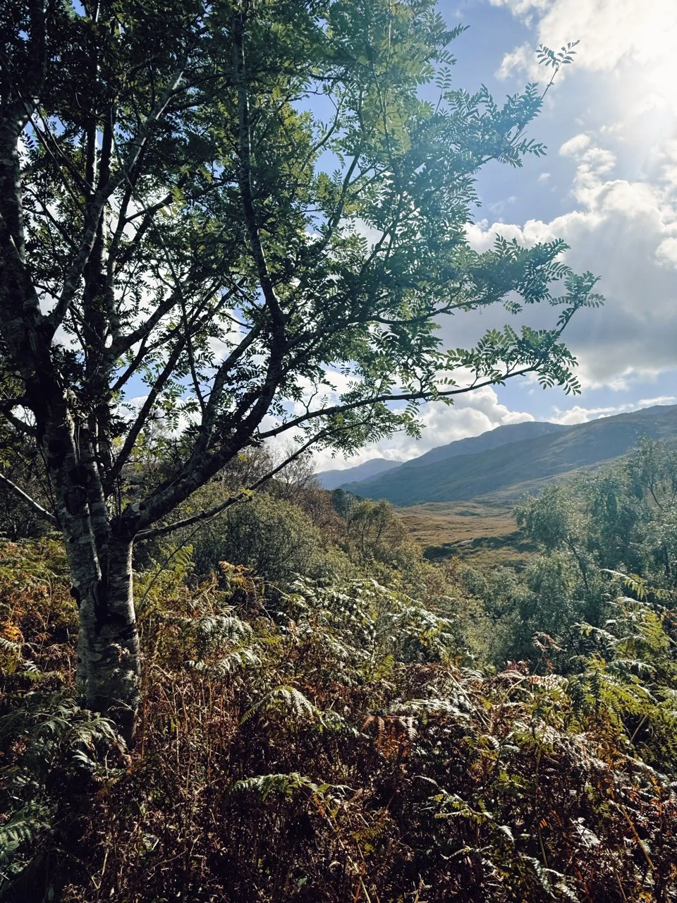  Lochailort. Scotland 