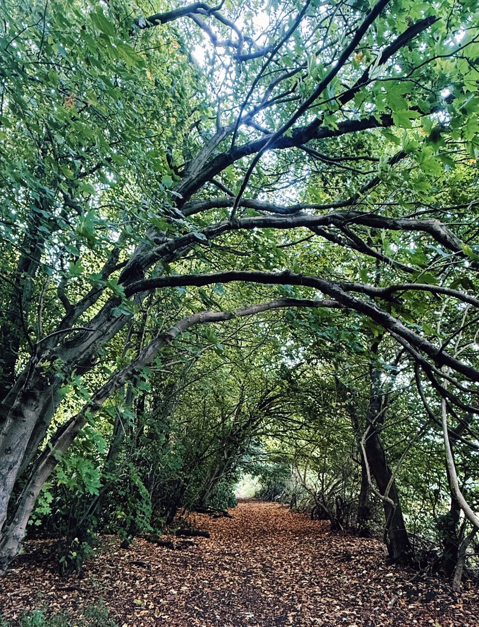  Newbridge, Scotland 