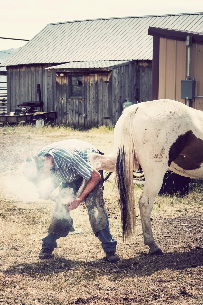  Centennial Valley, Montana 