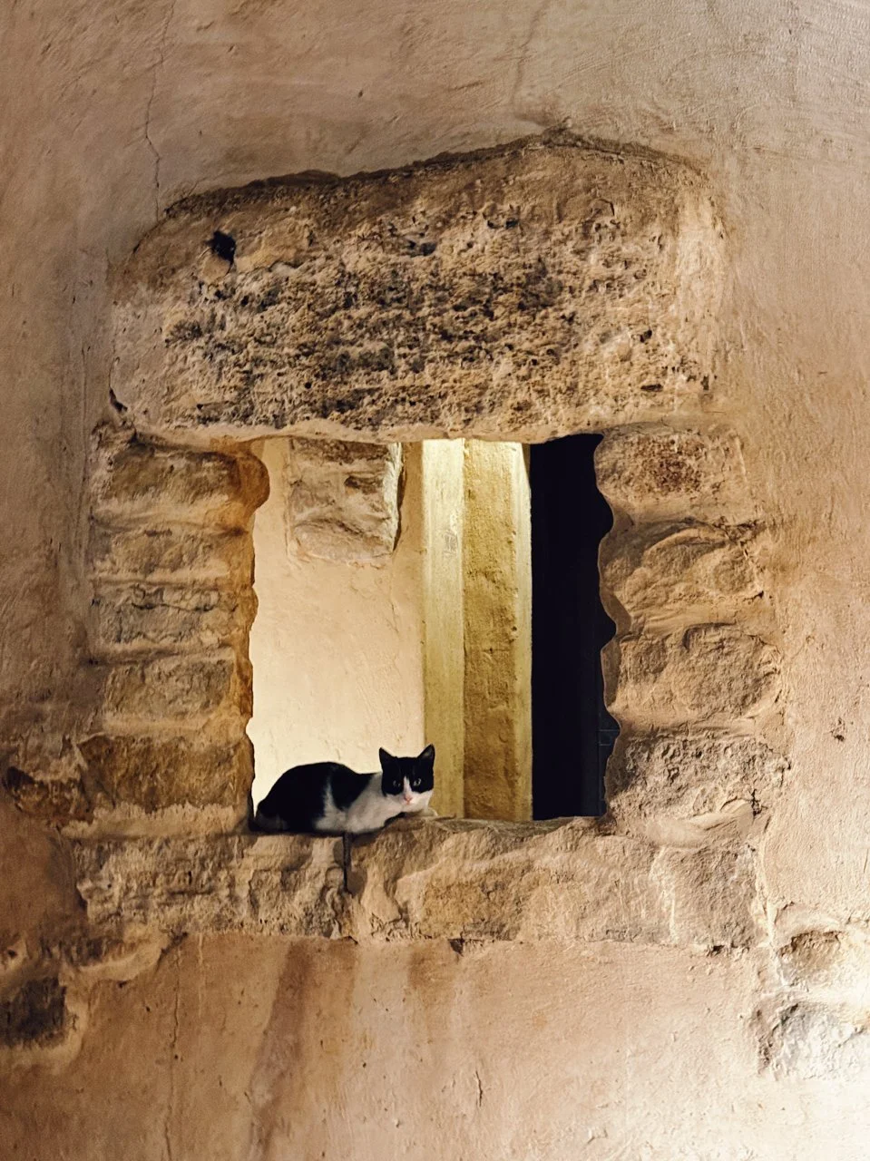  The Dead Sea, Jordan 