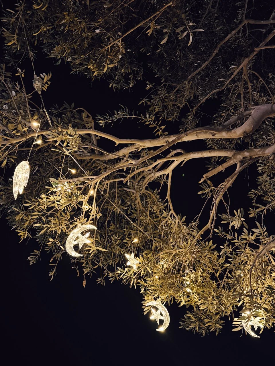  The Dead Sea, Jordan 