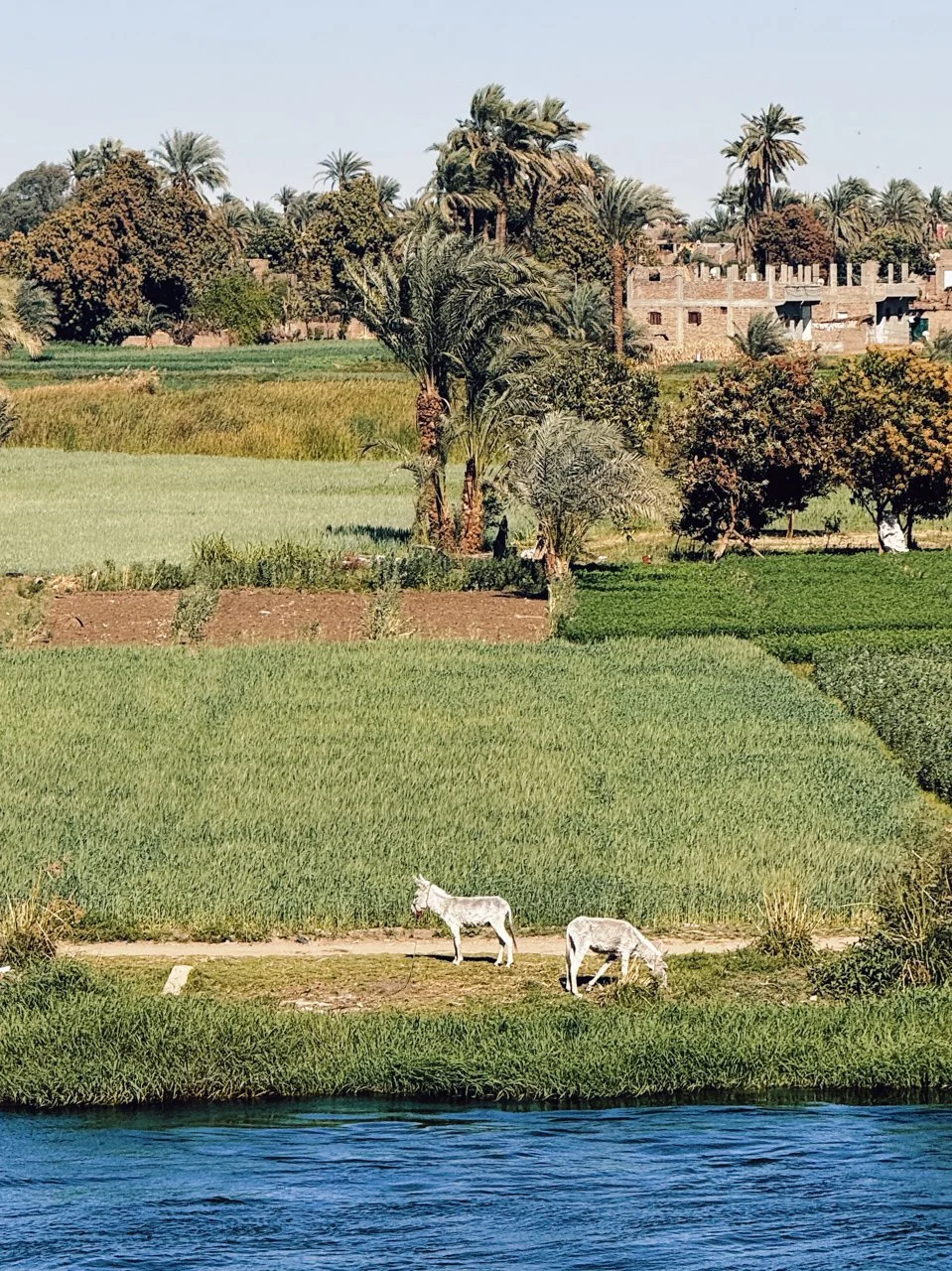  Qus, Egypt 