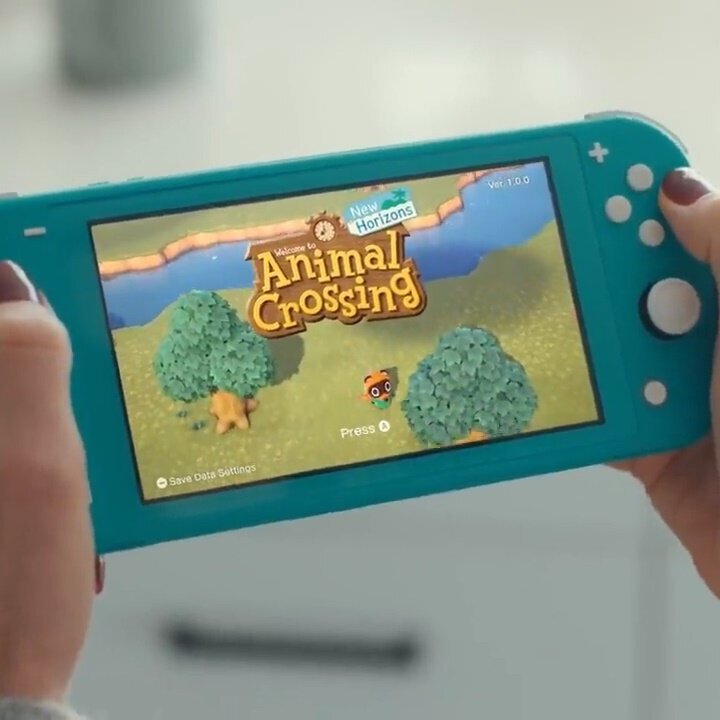 Nintendo-Switch-My-Way-Animal-Crossing-New-Horizons.jpg