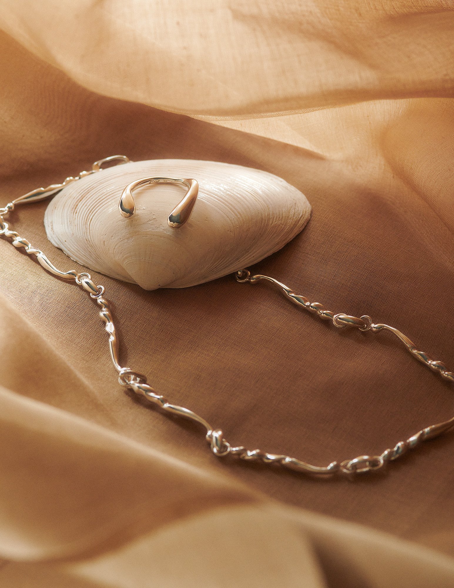 stillife-1.jpg