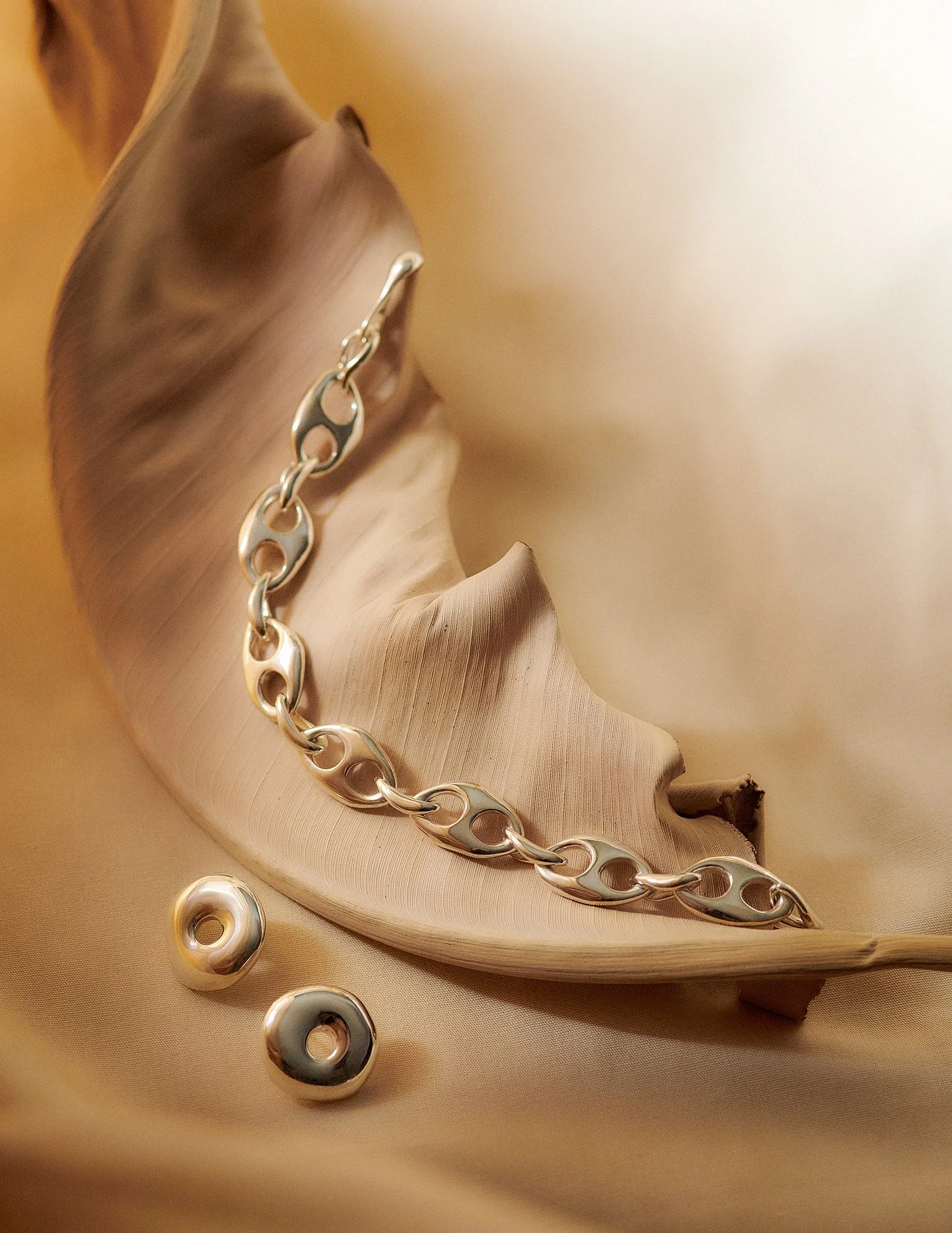 stillife-5.jpg