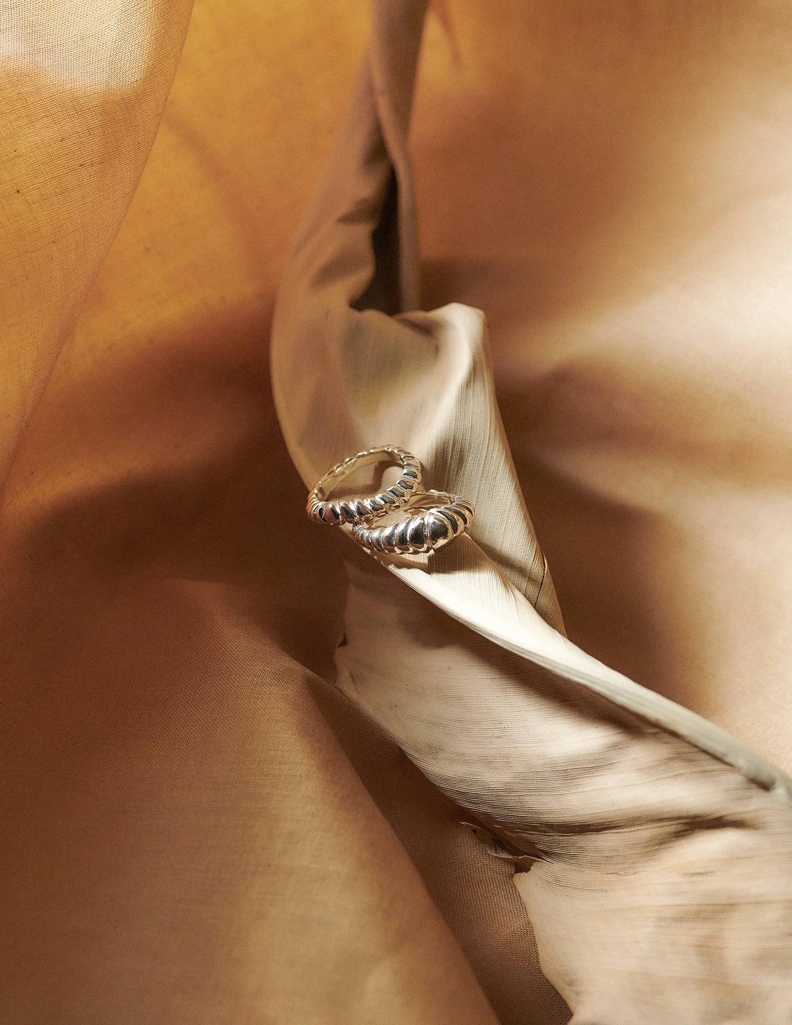 stillife-6.jpg