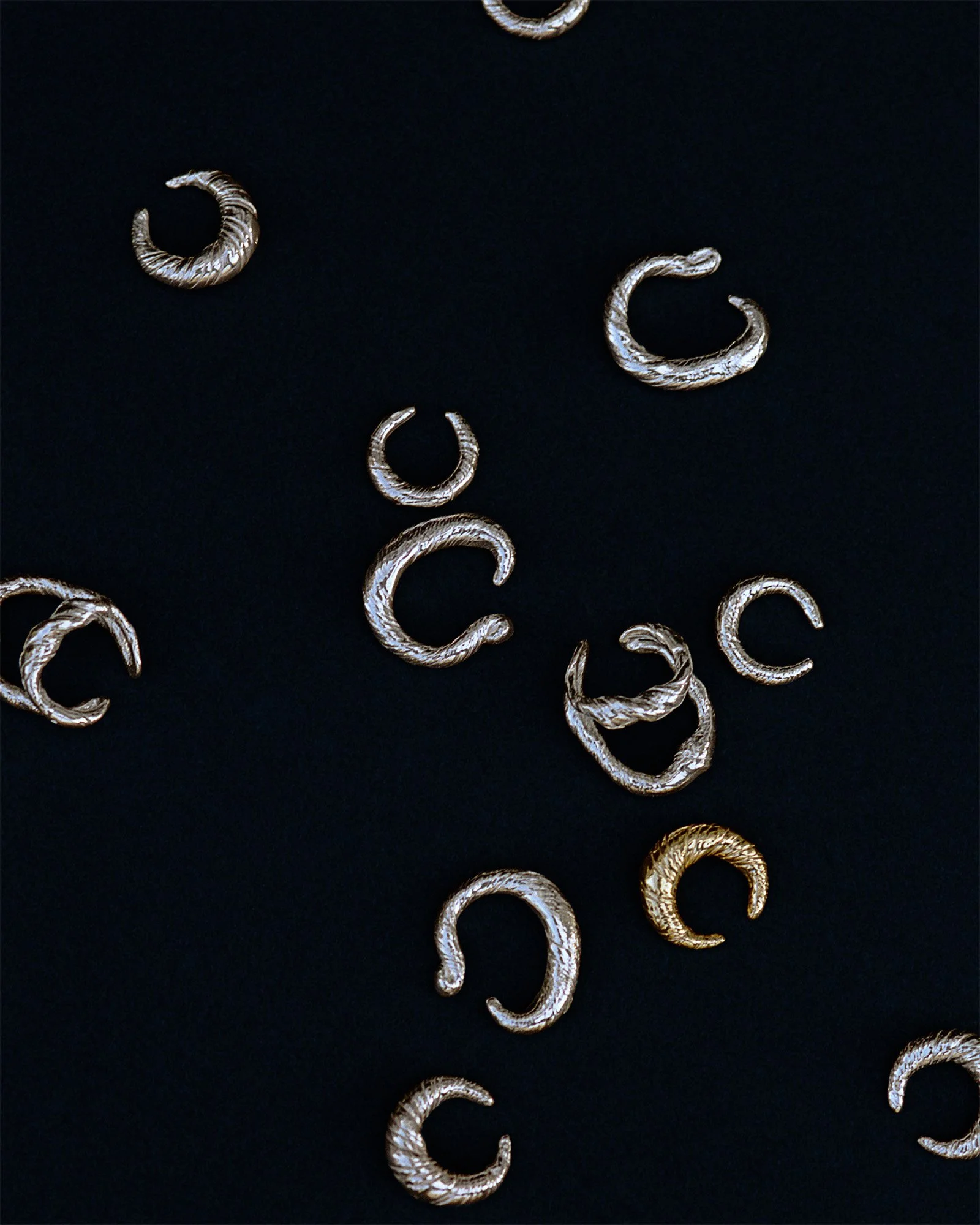 stilllife-4_cropped.jpg