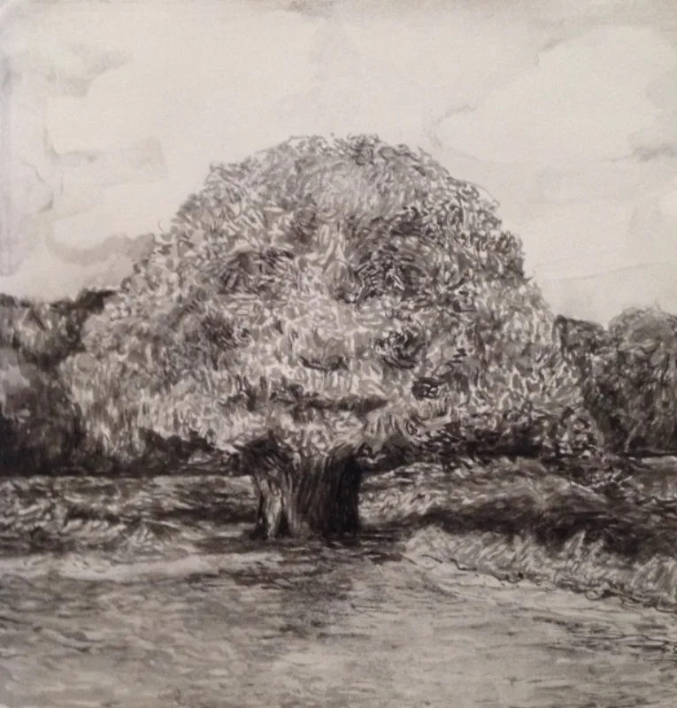 Oak Tree - Craig McRobert Harper.jpg