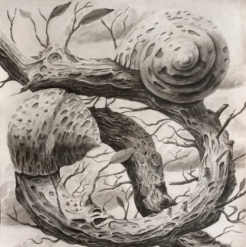 Metamorphosis of Two Snails Into a Branch - Craig McRobert Harper.jpg