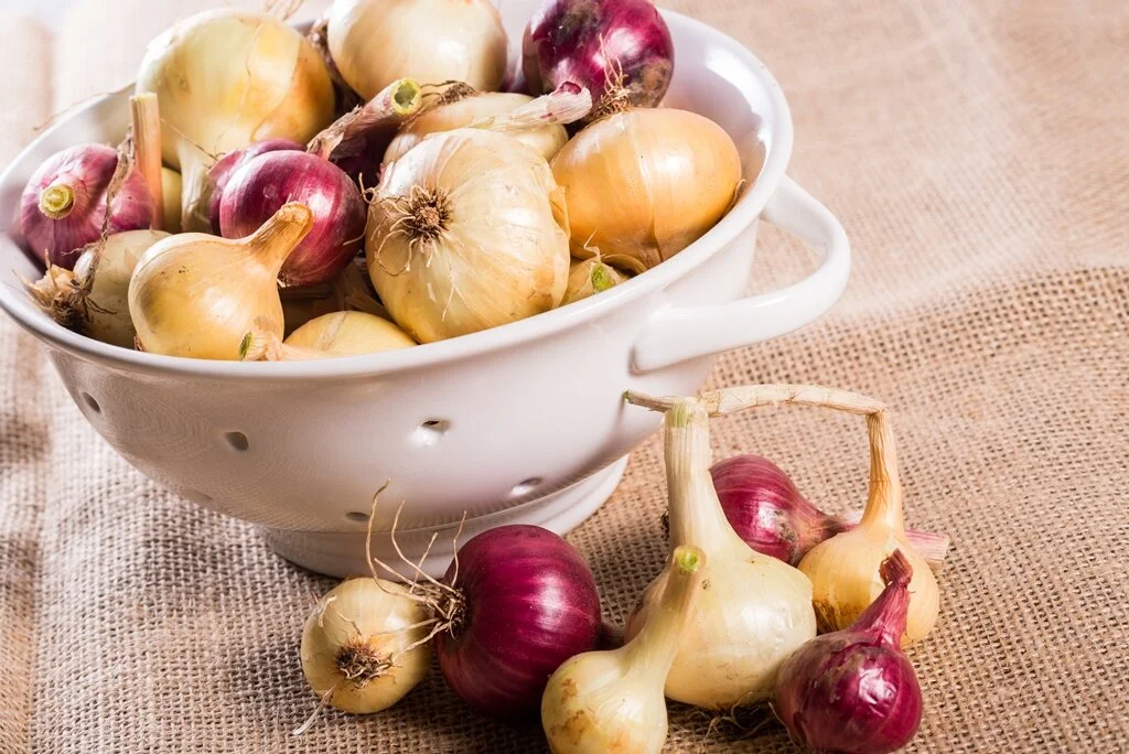 Onions.jpg