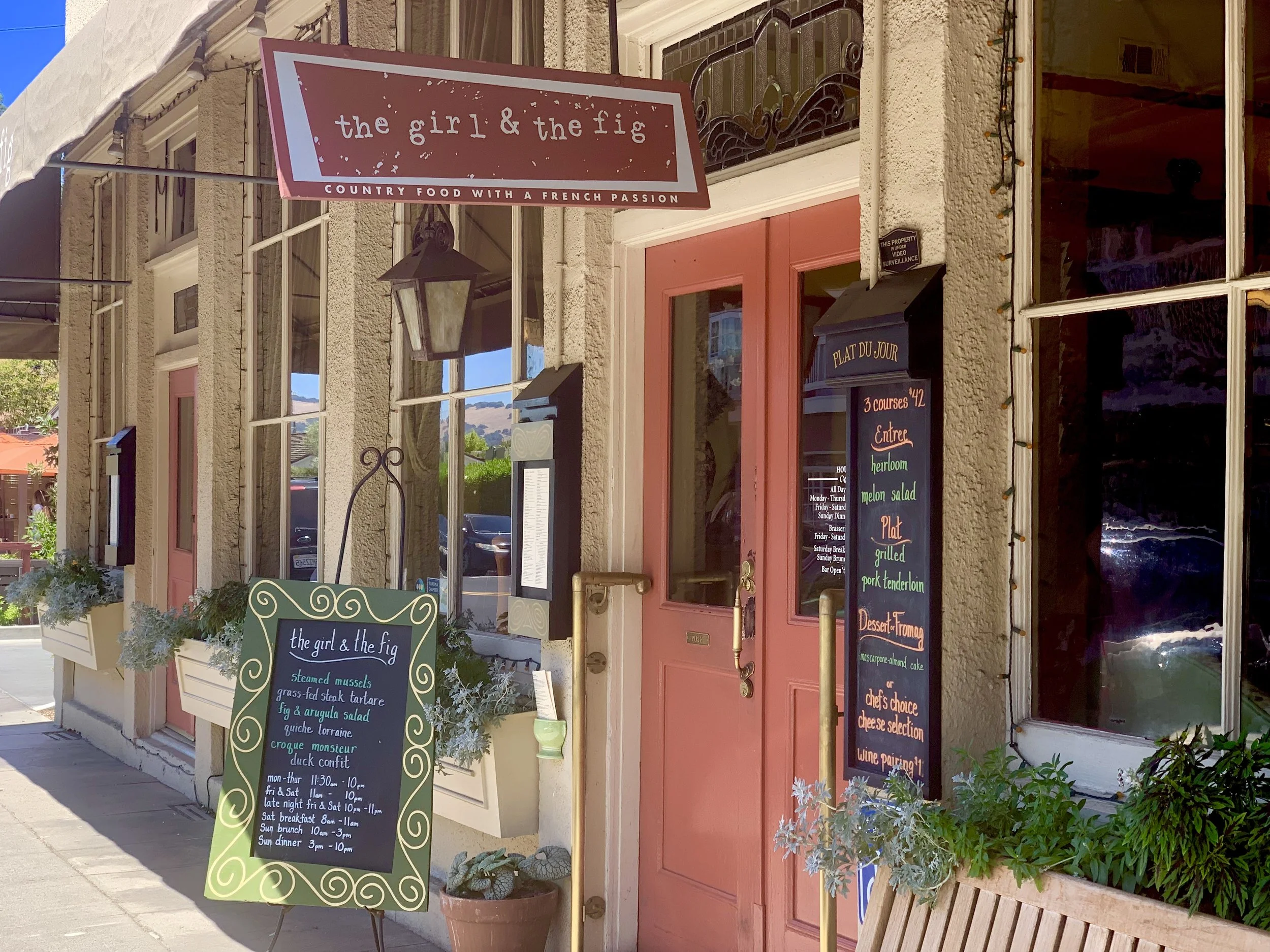 The Girl and the Fig