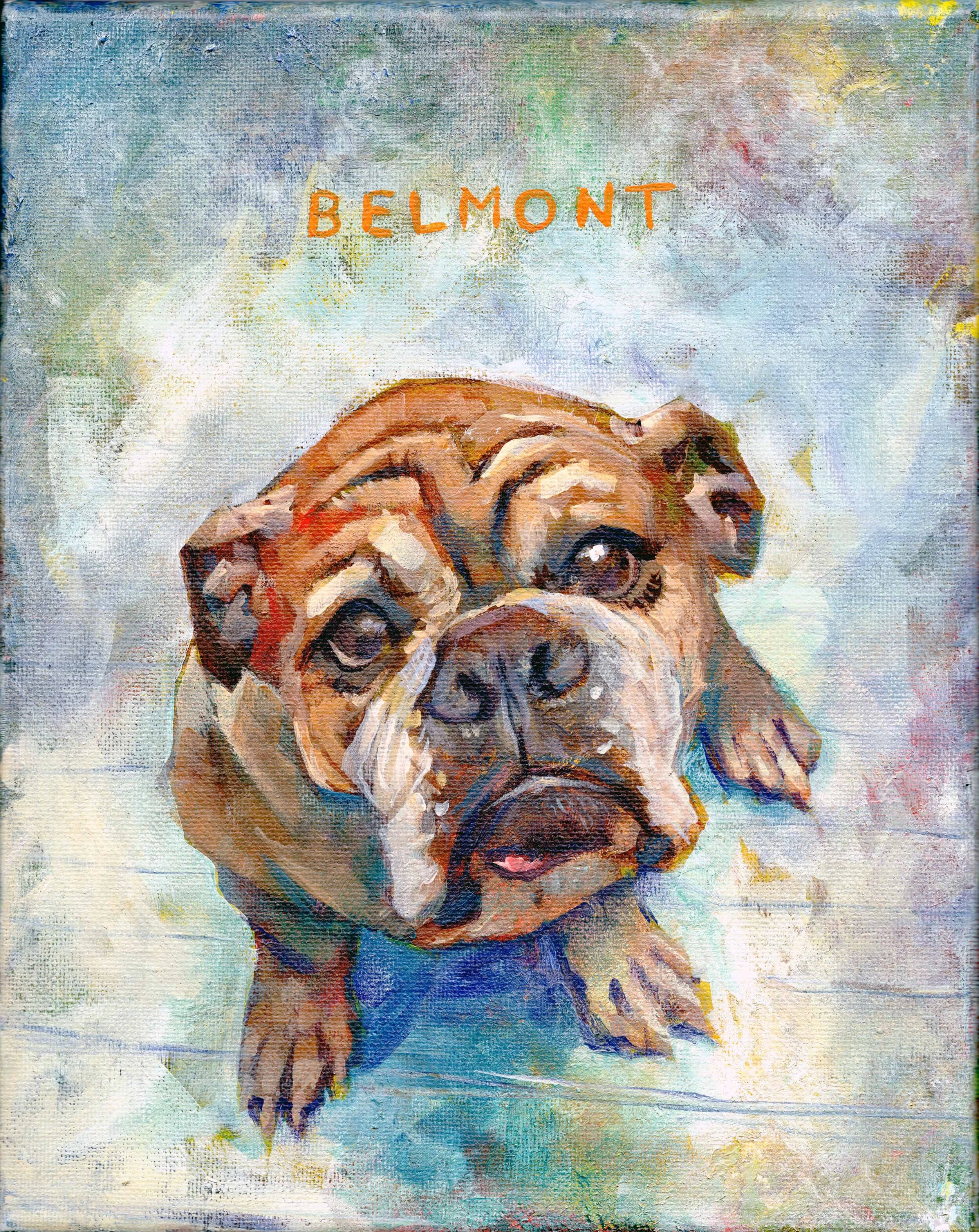Belmont001.jpg