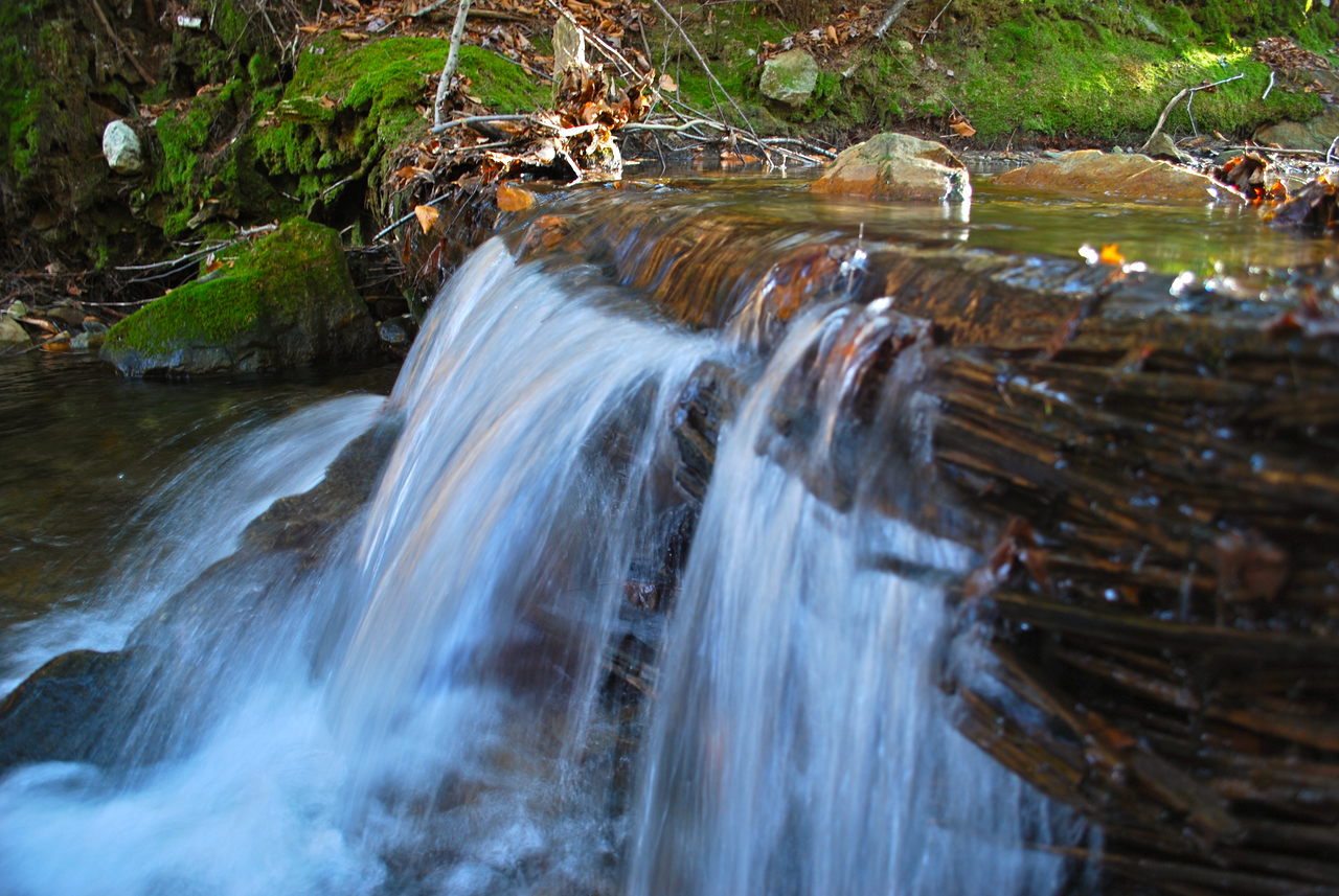 DSC_0219.png