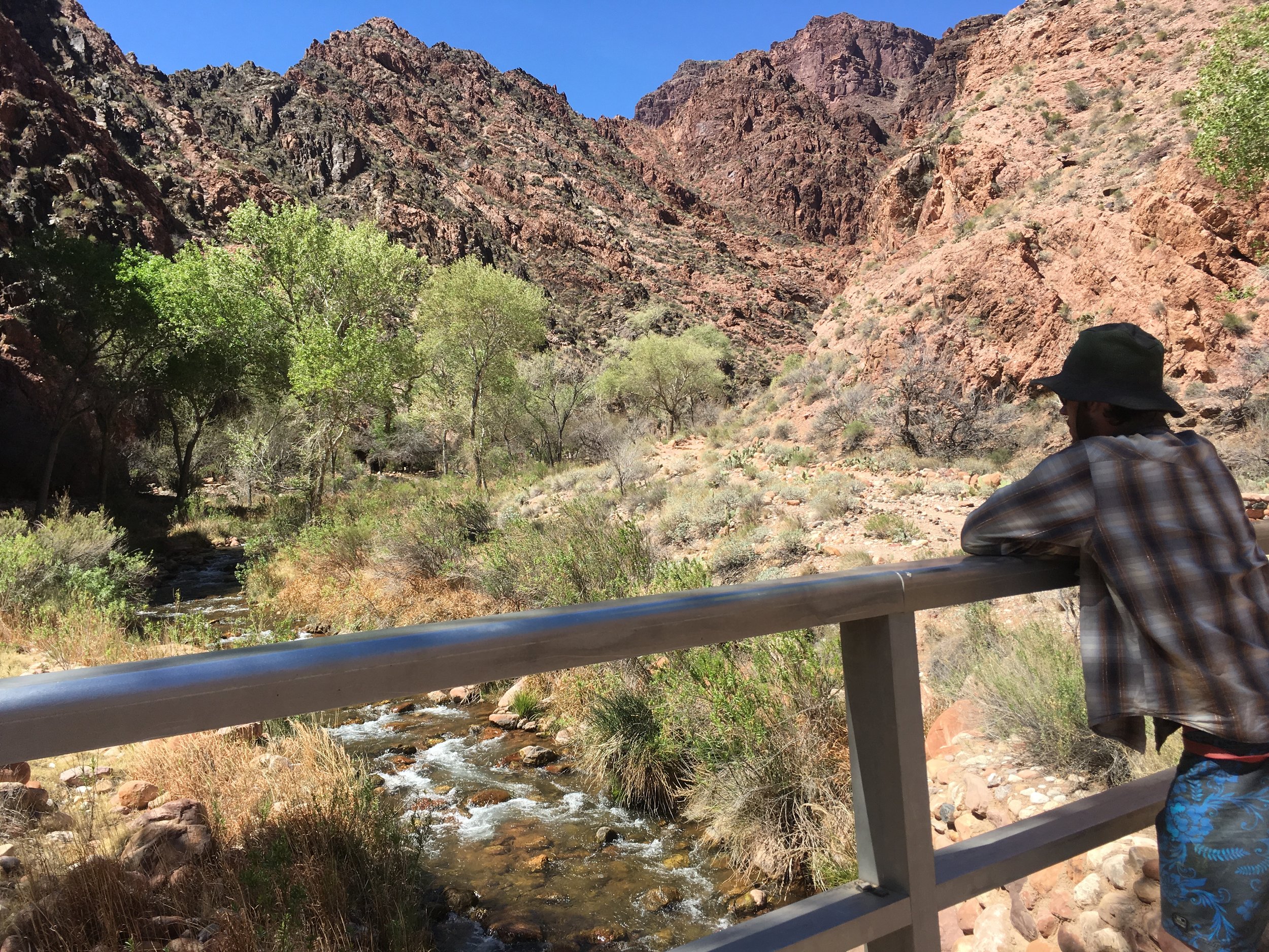 2018-03-30 12.33.14.jpg