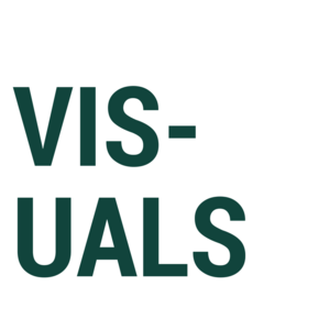 visuals.png
