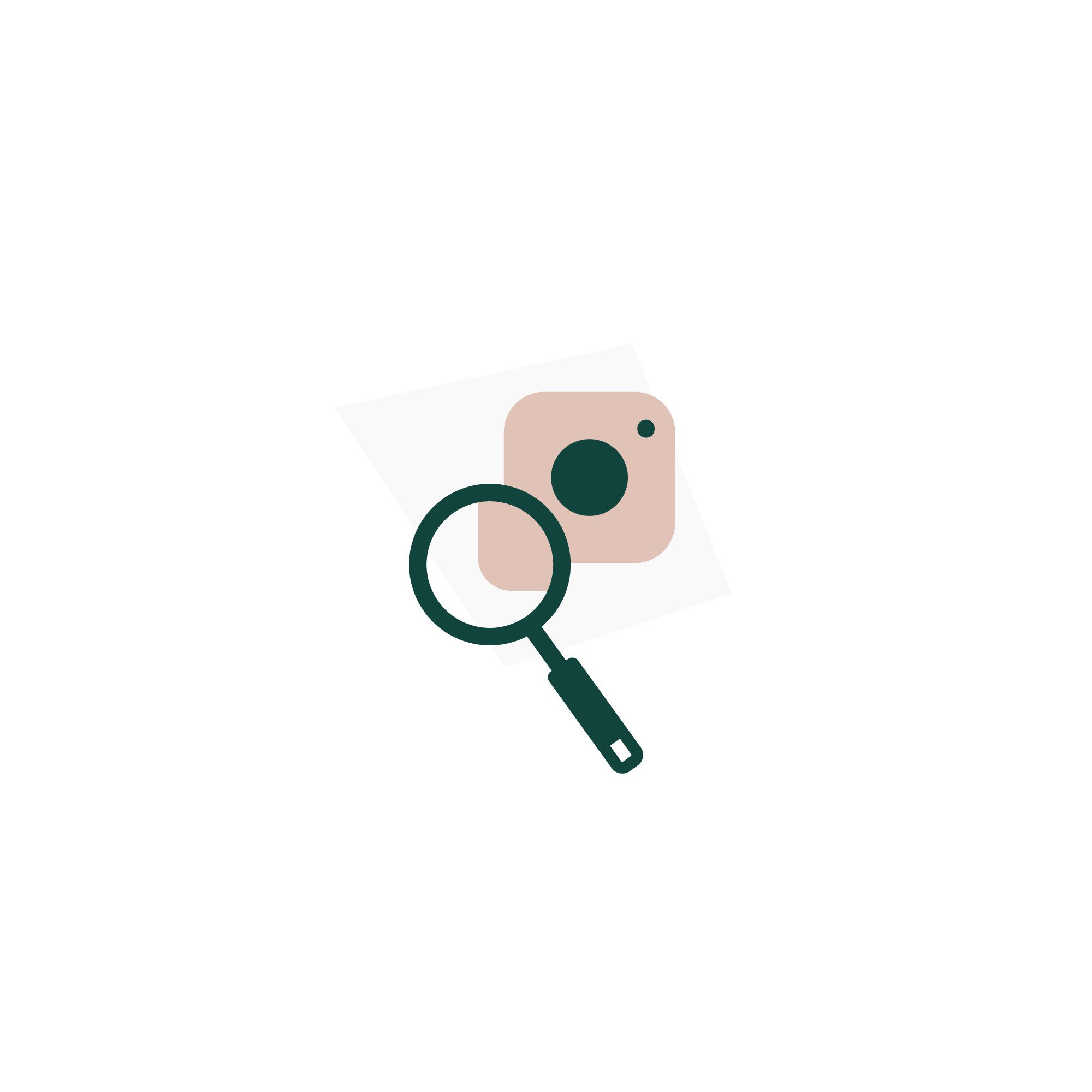instagram audits
