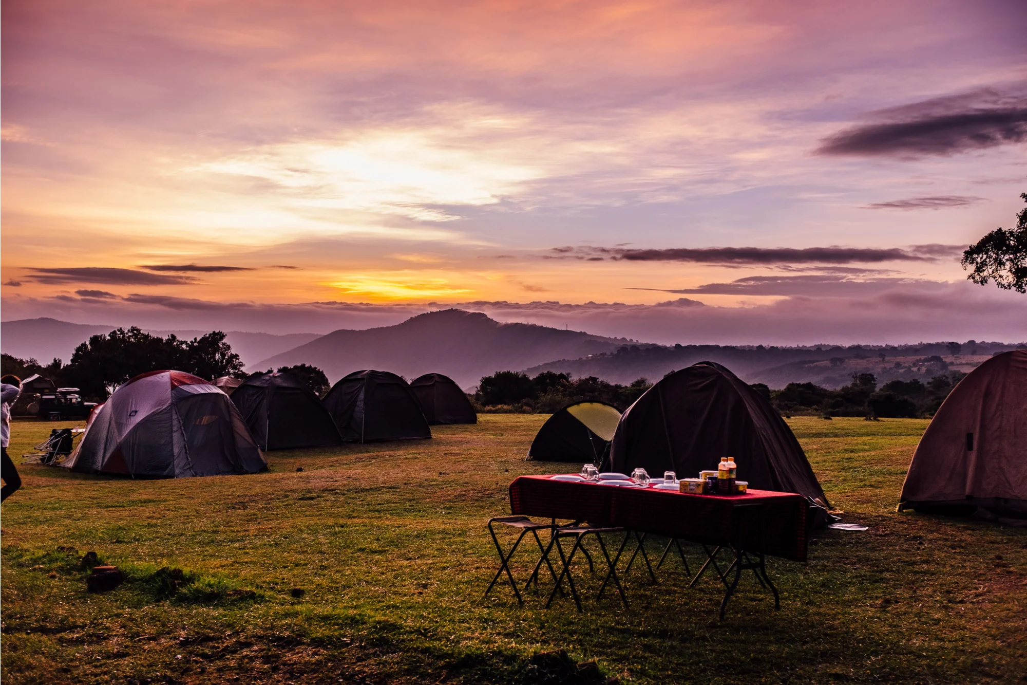 Camping-Safari-03.jpg